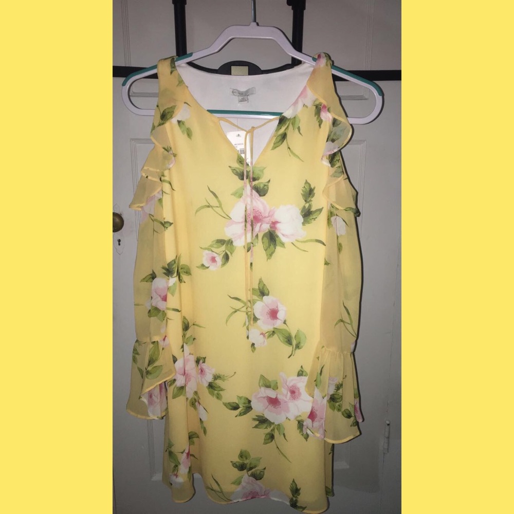 Long Sleeve Dress (Extra Small)